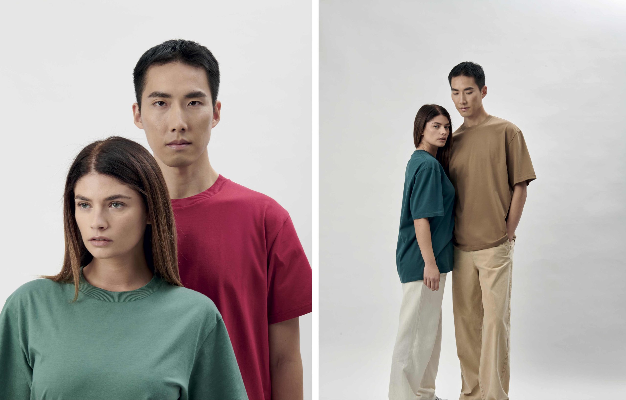 DDB-CAPSULE-3.1